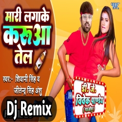 Mari Laga Ke Karuwa Tel 3 (Shivani Singh) Bhojpuri Viral Song Dj Vivek Pandey Download - DjMp3Maza.Com